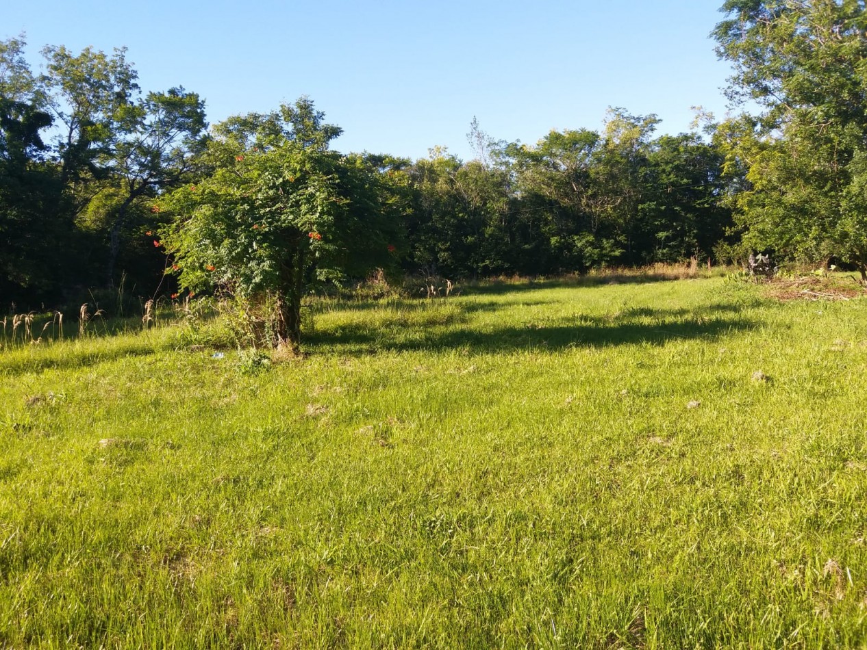 NV - Chacra en venta en San Ignacio de 4 Hectareas y 45 centiares