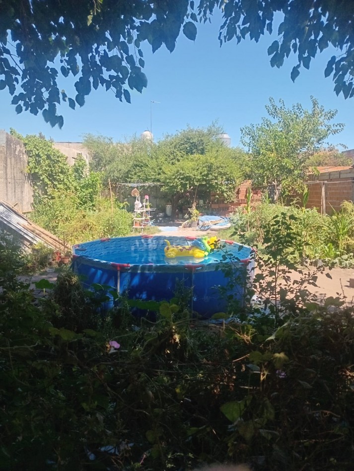 MS-Terreo en la localidad de Bosques