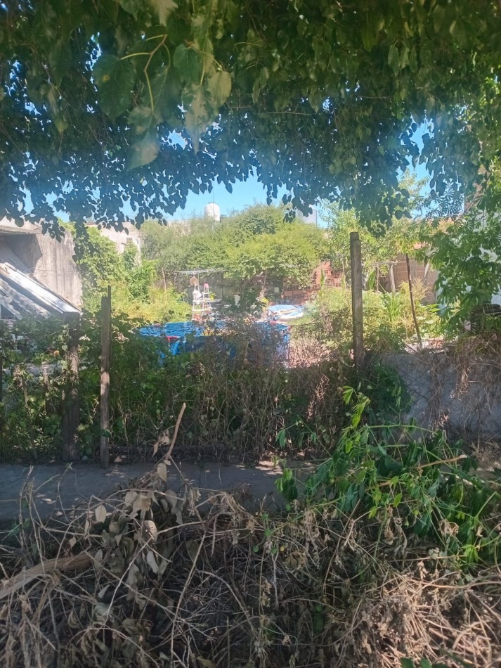 MS-Terreo en la localidad de Bosques