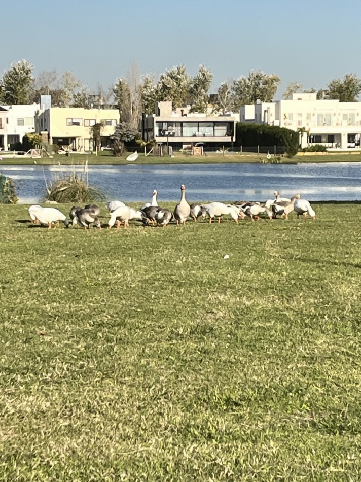 AJ LOTE en Barrio Cerrado LOS TRONCOS