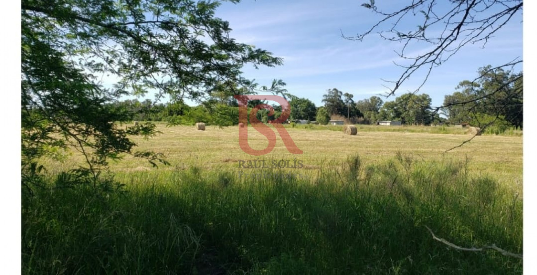 E.S.- Lotes en Venta