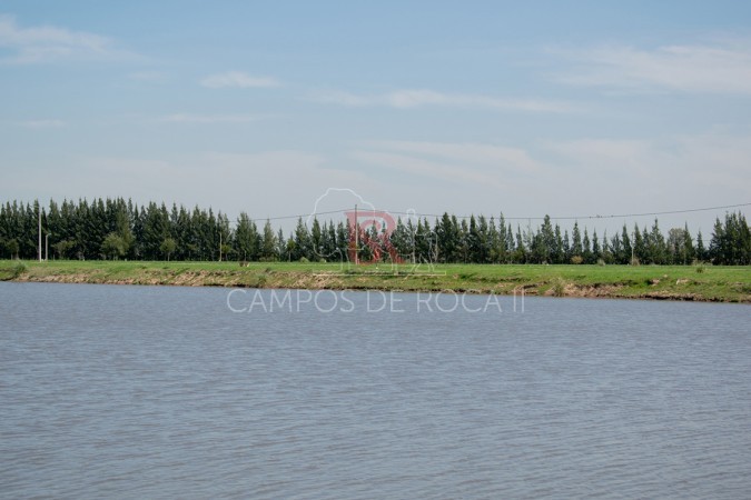 Nuevo Valor Lote en Venta - Campos de Roca II - Oportunidad!