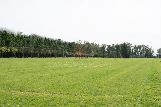 Nuevo Valor Lote en Venta - Campos de Roca II - Oportunidad!