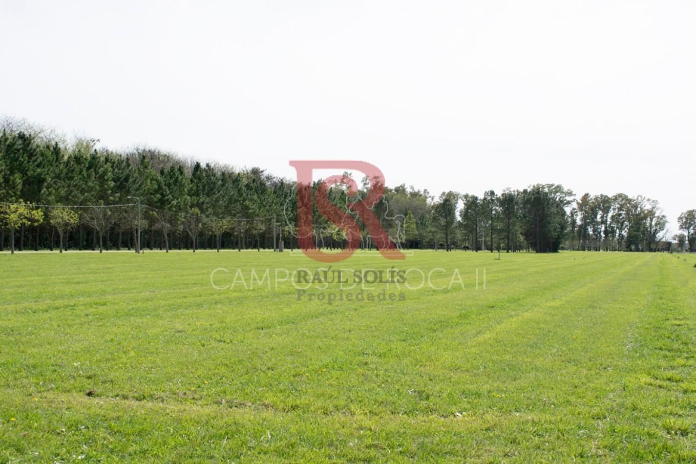 AM. Lote en Excelente Ubicacion - Campos de Roca II