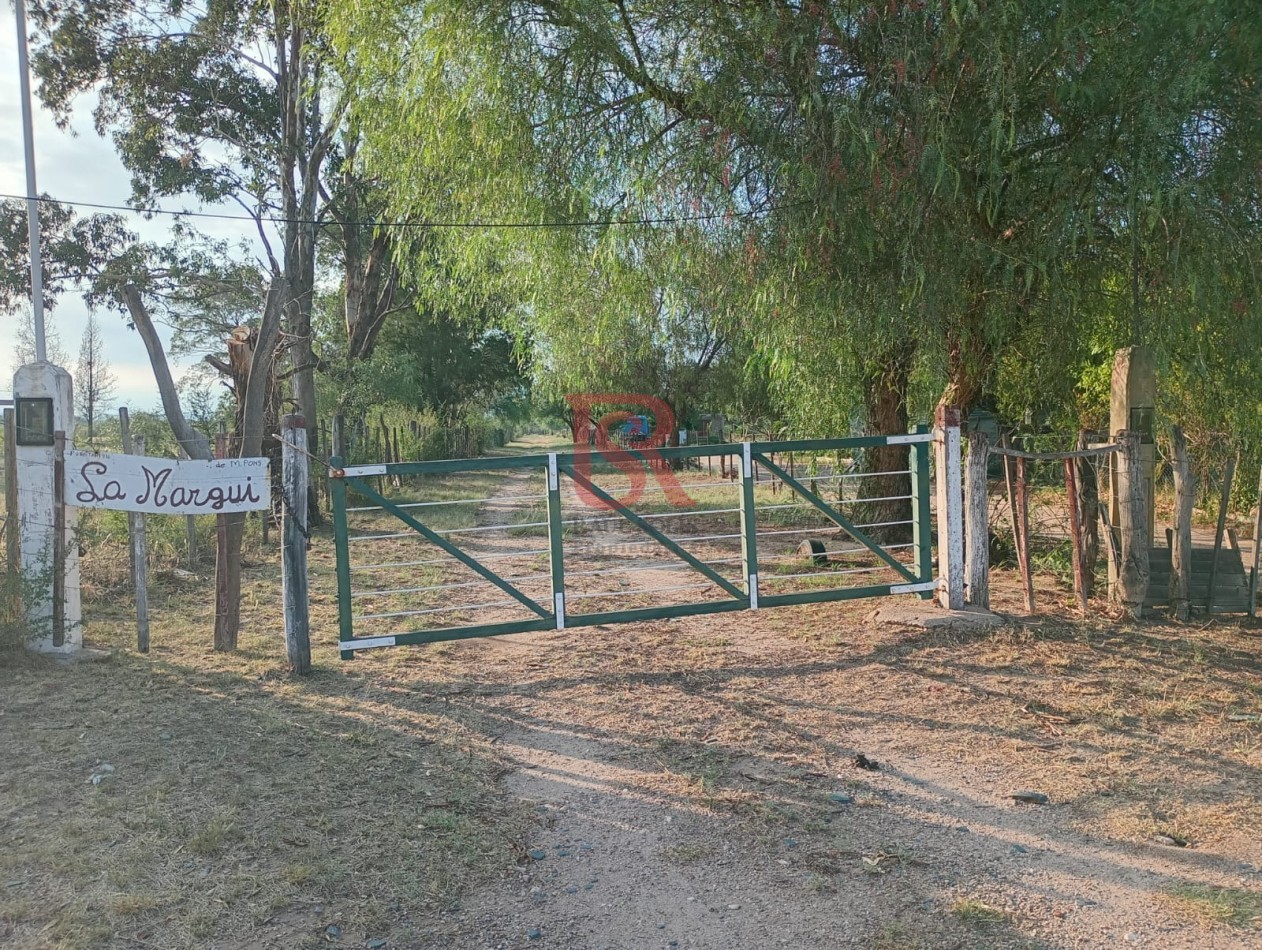 MS Campo de 10 Ha con vivienda de tres ambientes