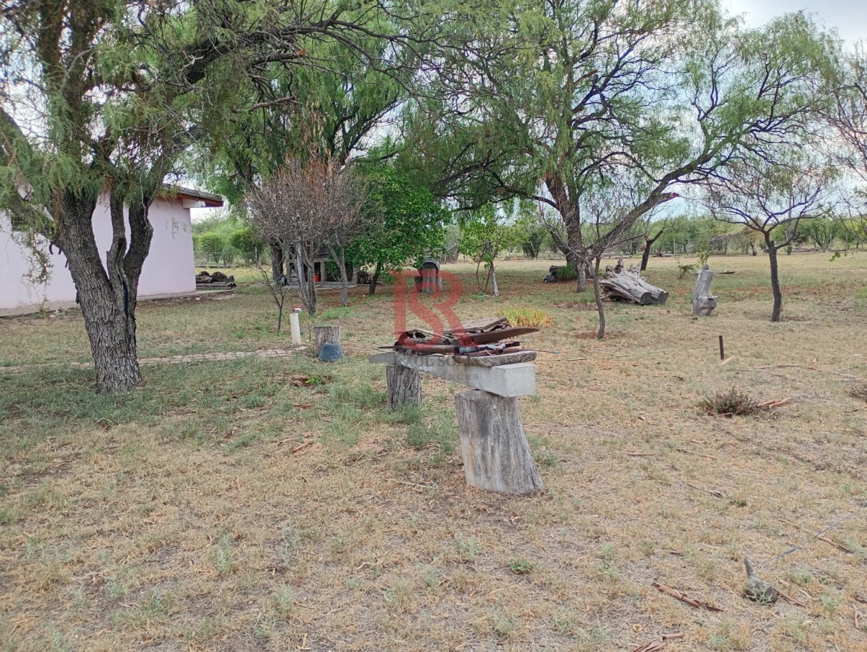 MS Campo de 10 Ha con vivienda de tres ambientes