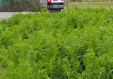 VG- Excelente lote en Hudson!