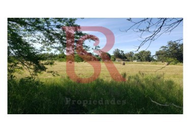 E.S.- Lotes en Venta